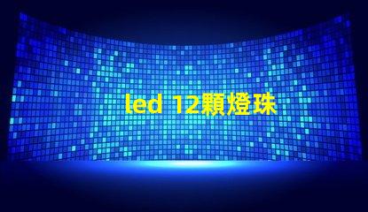 led 12顆燈珠